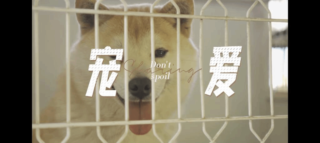 古天乐代言太阳集团138